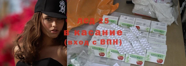индика Заволжье