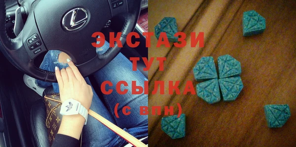 индика Заволжье