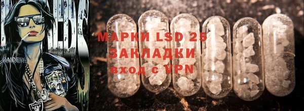 индика Заволжье