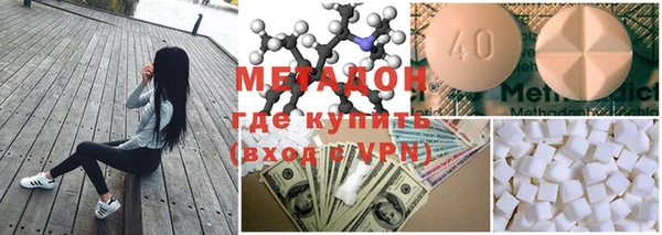 индика Заволжье