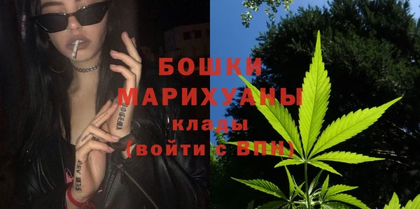 индика Заволжье