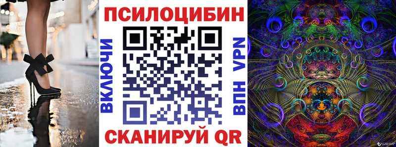Галлюциногенные грибы Psilocybe  купить наркоту  Снежинск 
