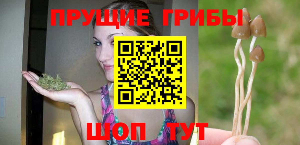 Псилоцибиновые грибы Psilocybe Снежинск